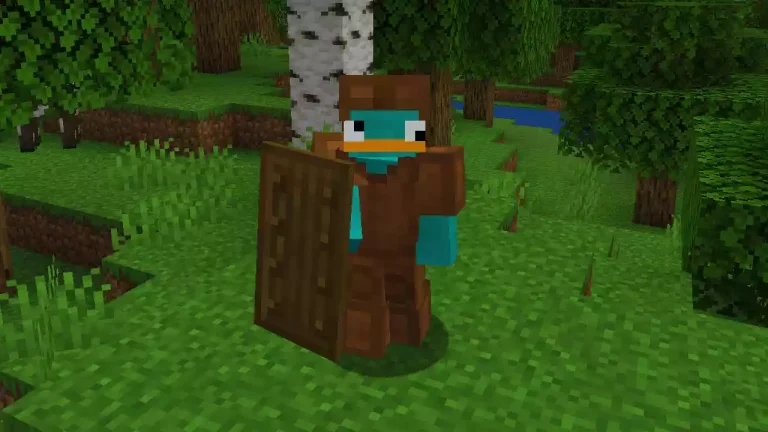 El jugador se encuentra utilizando un escudo de madera de Basic Shields.